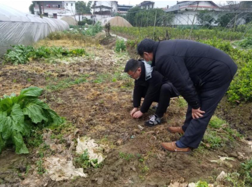 乐至县卫生健康局人事新任命，塑造未来医疗新篇章