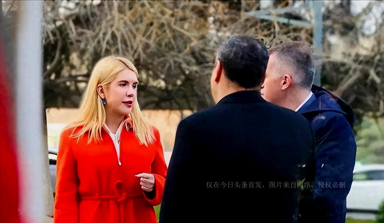 和平县审计局人事大调整，开启审计事业新篇章