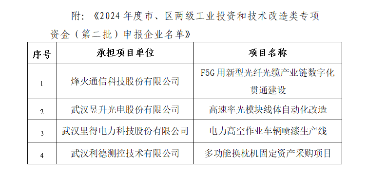 洪山區(qū)科學技術和工業(yè)信息化局最新項目深度解析及進展報告