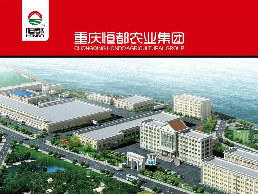 漆雕青柏