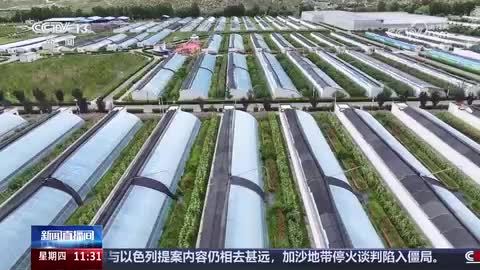 種蓄場(chǎng)最新動(dòng)態(tài)報(bào)道