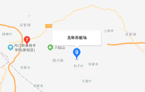 年曉楓