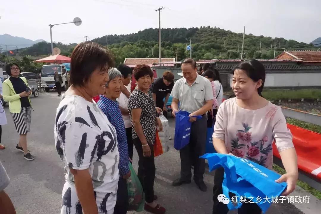 大城子镇政府最新项目，地方发展的强大引擎启动！