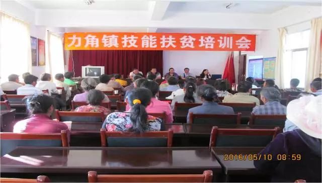 双树村村委会最新领导概览，领导团队及职责介绍