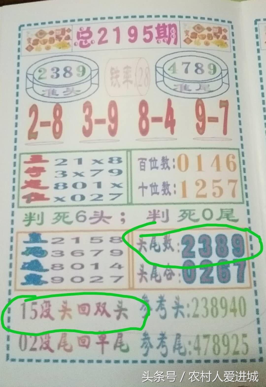 新澳门中特期准解析与落实，警惕虚假宣传，全面释义及解释