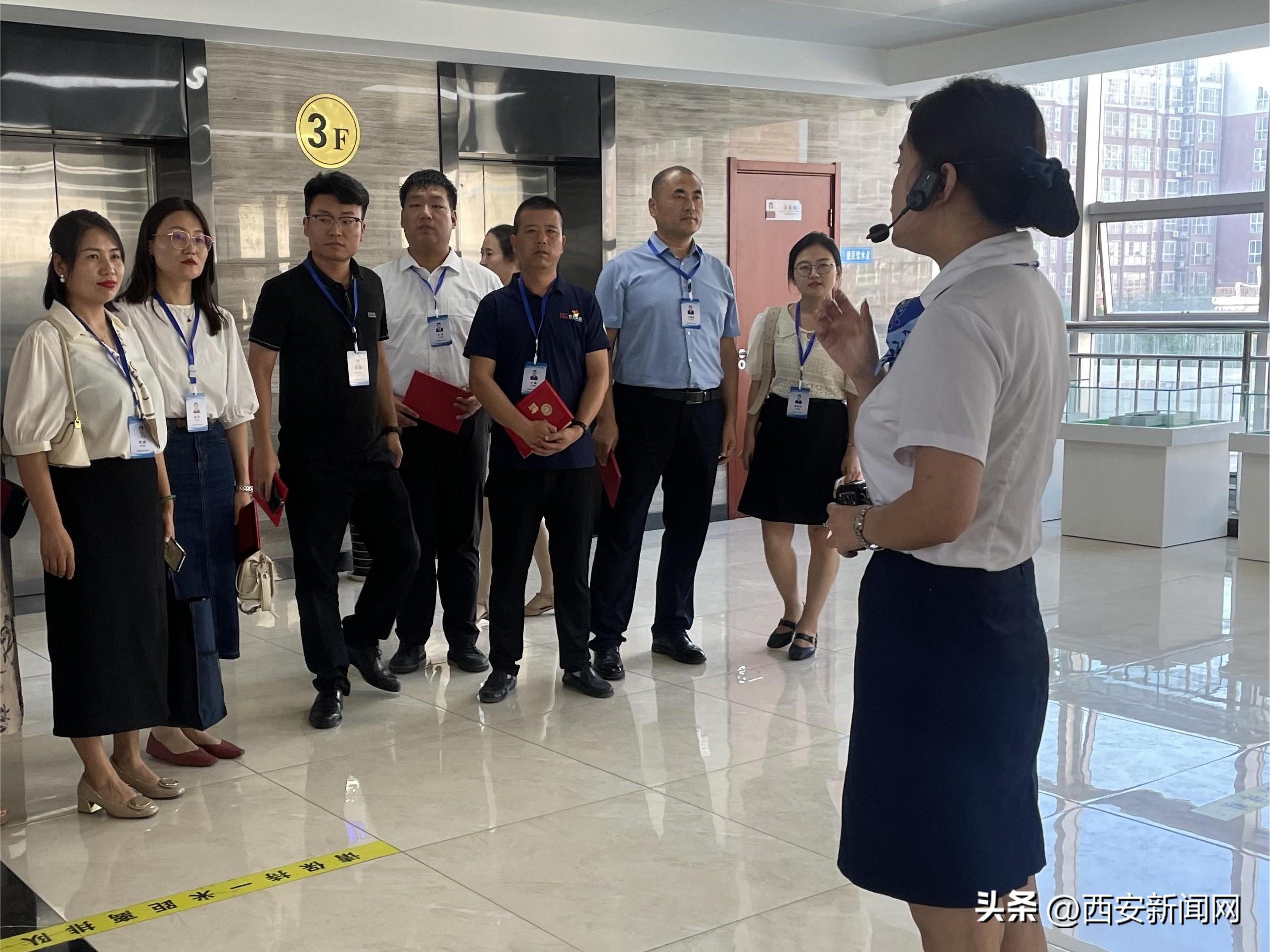 临潼区数据和政务服务局最新招聘信息概览，职位、要求及待遇全解析