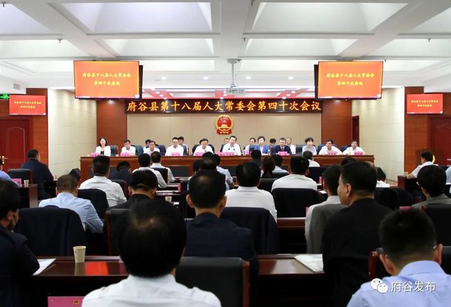 陵县发展和改革局领导团队，引领未来发展的新力量，塑造发展新篇章
