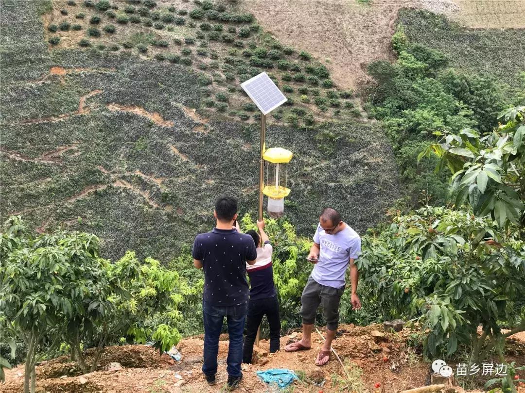 白河村委会人事大调整，激发新活力，共塑未来新篇章